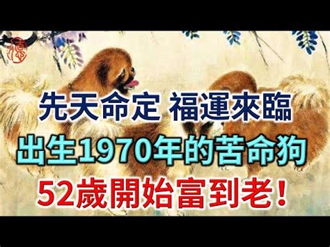 1970屬狗一生運勢|【1970屬什麼】1970年出生的生肖是什麼？屬狗運勢大公開